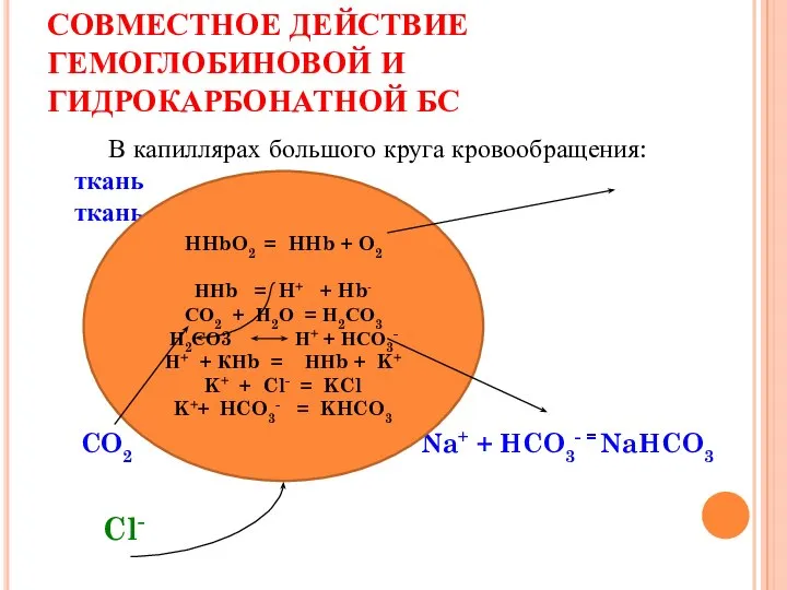 СОВМЕСТНОЕ ДЕЙСТВИЕ ГЕМОГЛОБИНОВОЙ И ГИДРОКАРБОНАТНОЙ БС В капиллярах большого круга кровообращения: ткань