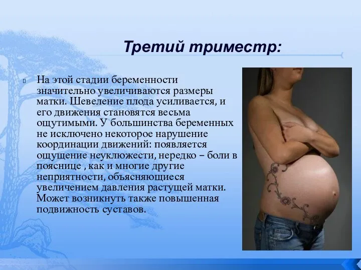 Третий триместр: На этой стадии беременности значительно увеличиваются размеры матки. Шевеление плода