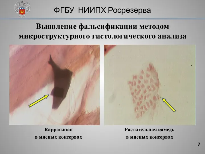 ФГБУ НИИПХ Росрезерва Выявление фальсификации методом микроструктурного гистологического анализа Каррагинан в мясных