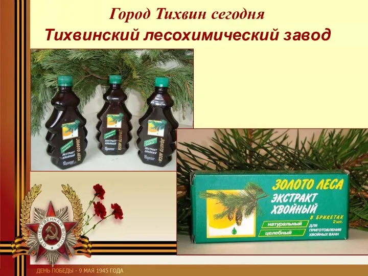 Город Тихвин сегодня Тихвинский лесохимический завод