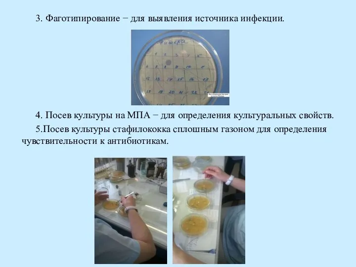 3. Фаготипирование − для выявления источника инфекции. 4. Посев культуры на МПА