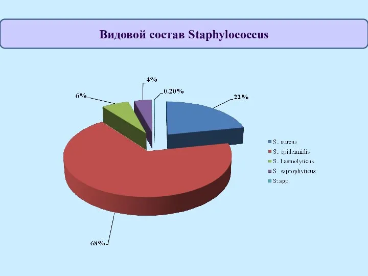 Видовой состав Staphylococcus