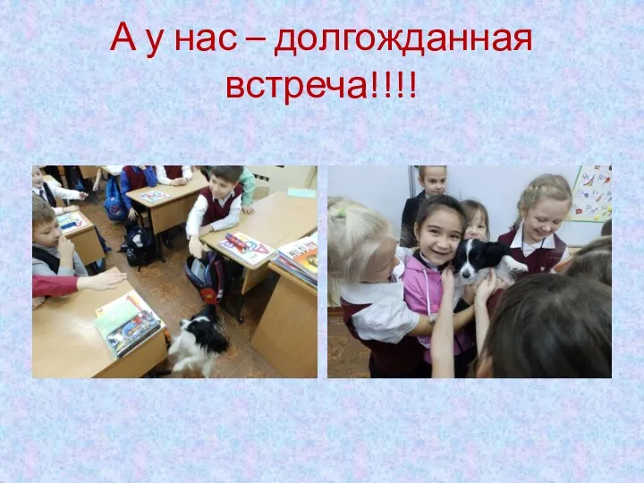 А у нас – долгожданная встреча!!!!