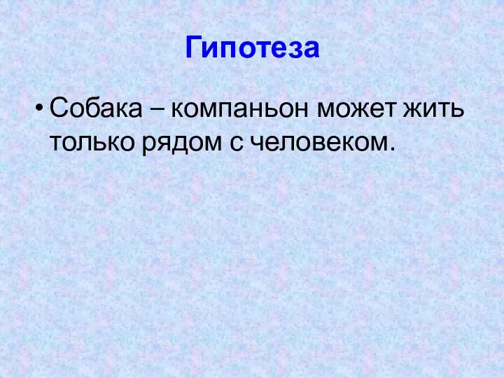 Гипотеза Собака – компаньон может жить только рядом с человеком.