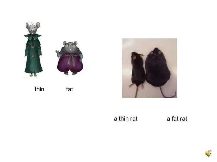 thin fat a thin rat a fat rat