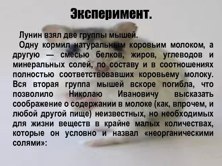 Эксперимент. Лунин взял две группы мышей. Одну кормил натуральным коровьим молоком, а