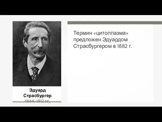 Термин «цитоплазма» предложен Эдуардом Страсбургером в 1882 г. Эдуард Страсбургер 1844–1912 гг.