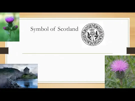 Symbol of Scotland