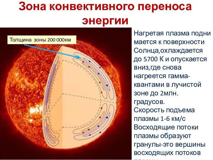 Зона конвективного переноса энергии Нагретая плазма подни мается к поверхности Солнца,охлаждается до
