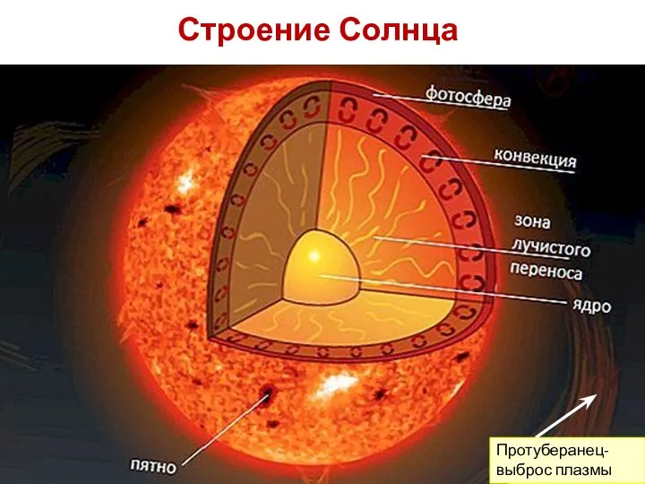 Строение Солнца Протуберанец-выброс плазмы