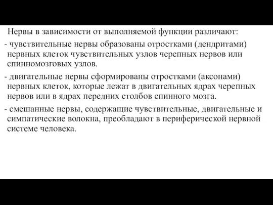 Нервы в зависимости от выполняемой функции различают: - чувствительные нервы образованы отростками