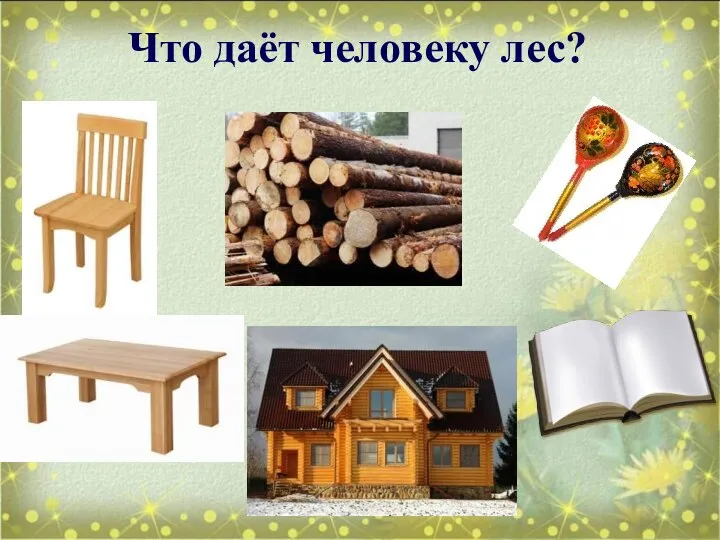 Что даёт человеку лес?