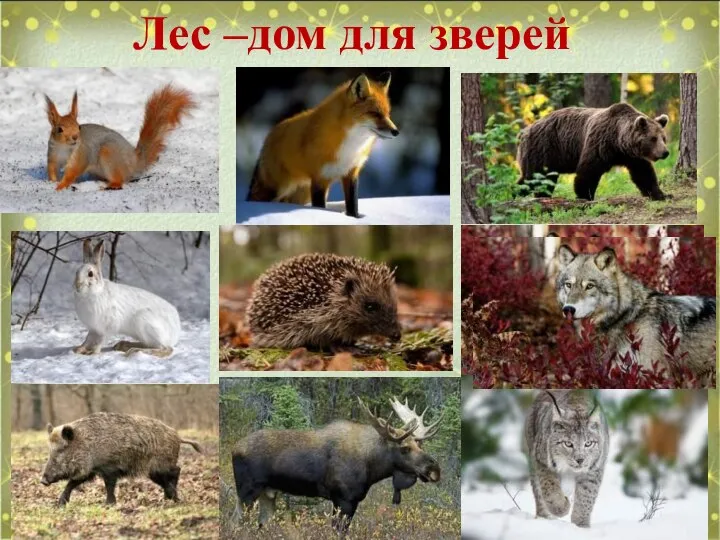 Лес –дом для зверей