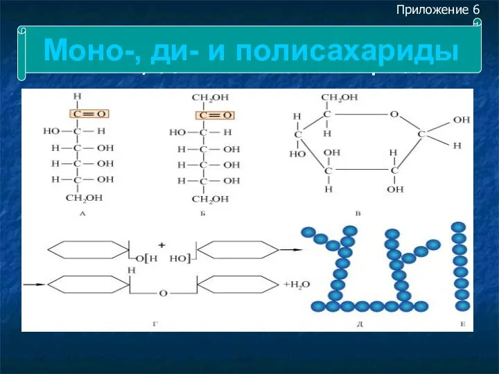 Моно-, ди- и полисахариды Моно-, ди- и полисахариды Приложение 6