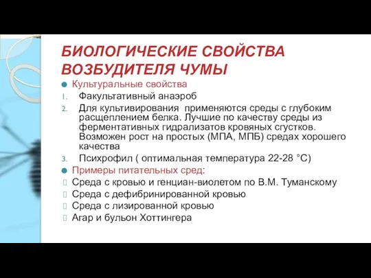 БИОЛОГИЧЕСКИЕ СВОЙСТВА ВОЗБУДИТЕЛЯ ЧУМЫ Культуральные свойства Факультативный анаэроб Для культивирования применяются среды