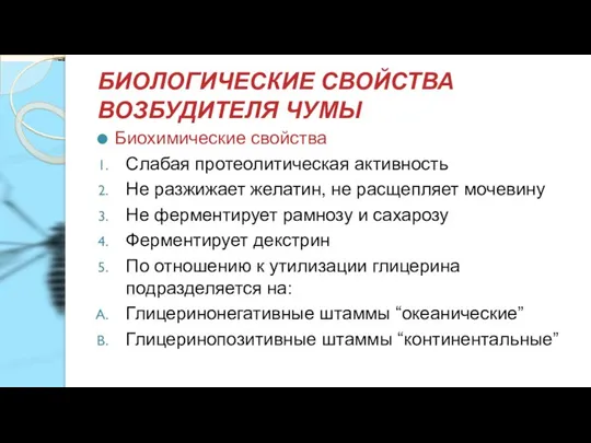 БИОЛОГИЧЕСКИЕ СВОЙСТВА ВОЗБУДИТЕЛЯ ЧУМЫ Биохимические свойства Слабая протеолитическая активность Не разжижает желатин,