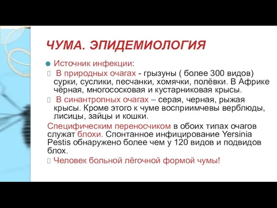 ЧУМА. ЭПИДЕМИОЛОГИЯ Источник инфекции: В природных очагах - грызуны ( более 300