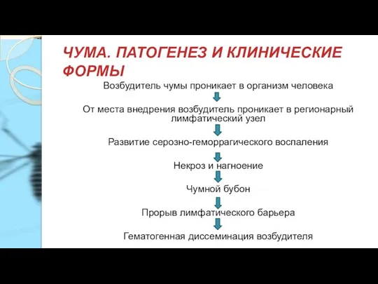 ЧУМА. ПАТОГЕНЕЗ И КЛИНИЧЕСКИЕ ФОРМЫ Возбудитель чумы проникает в организм человека От