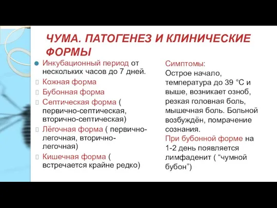 ЧУМА. ПАТОГЕНЕЗ И КЛИНИЧЕСКИЕ ФОРМЫ Инкубационный период от нескольких часов до 7