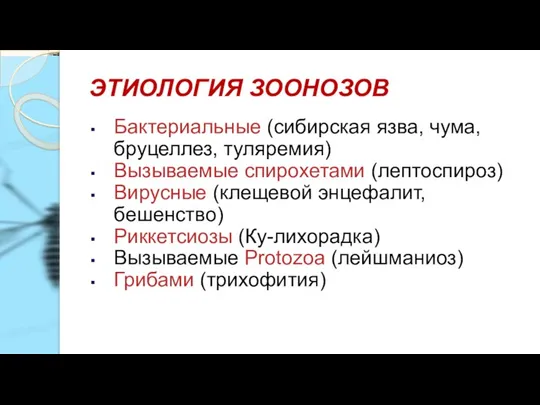 ЭТИОЛОГИЯ ЗООНОЗОВ Бактериальные (сибирская язва, чума, бруцеллез, туляремия) Вызываемые спирохетами (лептоспироз) Вирусные