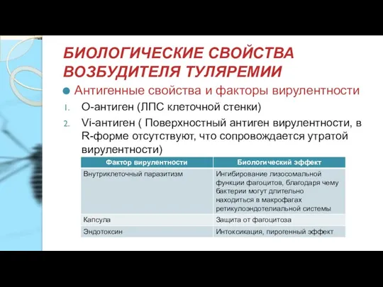 БИОЛОГИЧЕСКИЕ СВОЙСТВА ВОЗБУДИТЕЛЯ ТУЛЯРЕМИИ Антигенные свойства и факторы вирулентности О-антиген (ЛПС клеточной