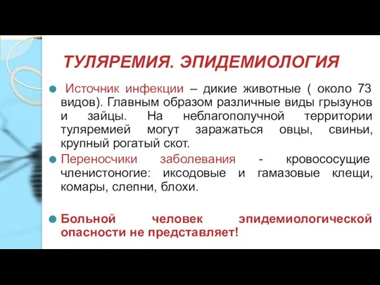 ТУЛЯРЕМИЯ. ЭПИДЕМИОЛОГИЯ Источник инфекции – дикие животные ( около 73 видов). Главным