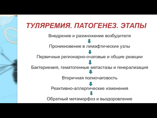 ТУЛЯРЕМИЯ. ПАТОГЕНЕЗ. ЭТАПЫ Внедрение и размножение возбудителя Проникновение в лимафтические узлы Первичные