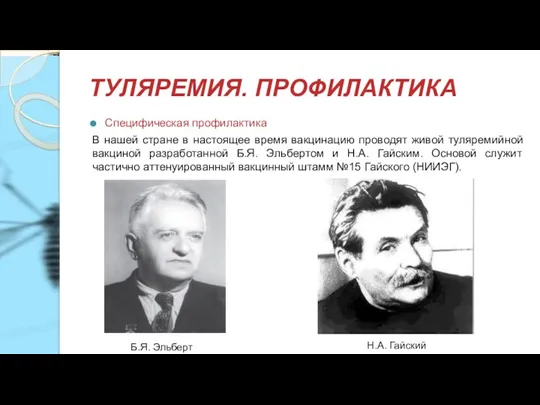 ТУЛЯРЕМИЯ. ПРОФИЛАКТИКА Специфическая профилактика В нашей стране в настоящее время вакцинацию проводят