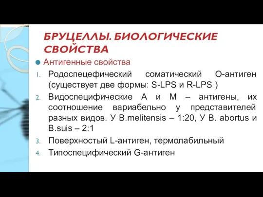 БРУЦЕЛЛЫ. БИОЛОГИЧЕСКИЕ СВОЙСТВА Антигенные свойства Родоспецефический соматический О-антиген (существует две формы: S-LPS