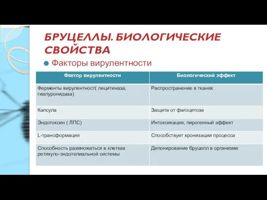 БРУЦЕЛЛЫ. БИОЛОГИЧЕСКИЕ СВОЙСТВА Факторы вирулентности