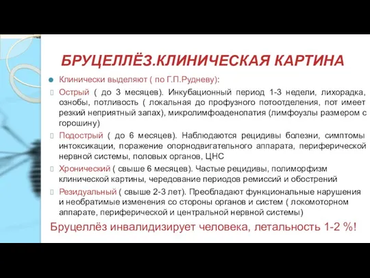 БРУЦЕЛЛЁЗ.КЛИНИЧЕСКАЯ КАРТИНА Клинически выделяют ( по Г.П.Рудневу): Острый ( до 3 месяцев).