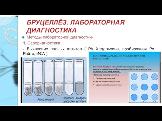 БРУЦЕЛЛЁЗ. ЛАБОРАТОРНАЯ ДИАГНОСТИКА Методы лабораторной диагностики 1. Серодиагностика - Выявление полных антител