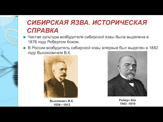 СИБИРСКАЯ ЯЗВА. ИСТОРИЧЕСКАЯ СПРАВКА Чистая культура возбудителя сибирской язвы была выделена в