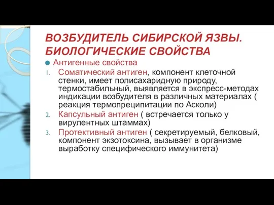 ВОЗБУДИТЕЛЬ СИБИРСКОЙ ЯЗВЫ. БИОЛОГИЧЕСКИЕ СВОЙСТВА Антигенные свойства Соматический антиген, компонент клеточной стенки,