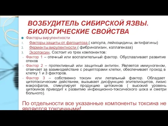 ВОЗБУДИТЕЛЬ СИБИРСКОЙ ЯЗВЫ. БИОЛОГИЧЕСКИЕ СВОЙСТВА Факторы вирулентности Факторы защиты от фагоцитоза (