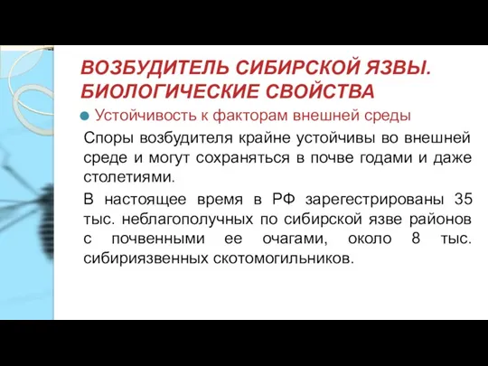 ВОЗБУДИТЕЛЬ СИБИРСКОЙ ЯЗВЫ. БИОЛОГИЧЕСКИЕ СВОЙСТВА Устойчивость к факторам внешней среды Споры возбудителя