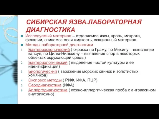 СИБИРСКАЯ ЯЗВА.ЛАБОРАТОРНАЯ ДИАГНОСТИКА Исследуемый материал – отделяемое язвы, кровь, мокрота, фекалии, спиномозговая