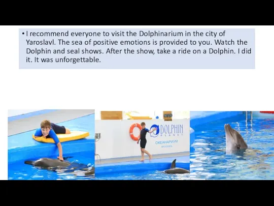 I recommend everyone to visit the Dolphinarium in the city of Yaroslavl.
