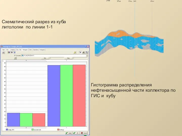 Схематический разрез из куба литологии по линии 1-1 Гистограмма распределения нефтенасыщенной части