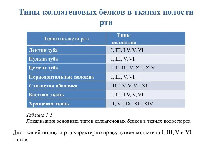 Типы коллагеновых белков в тканях полости рта Таблица 1.1 Локализация основных типов