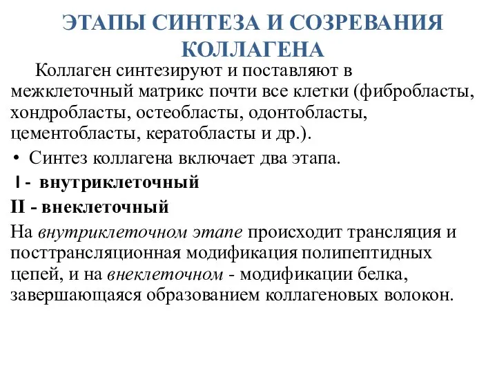 ЭТАПЫ СИНТЕЗА И СОЗРЕВАНИЯ КОЛЛАГЕНА Коллаген синтезируют и поставляют в межклеточный матрикс