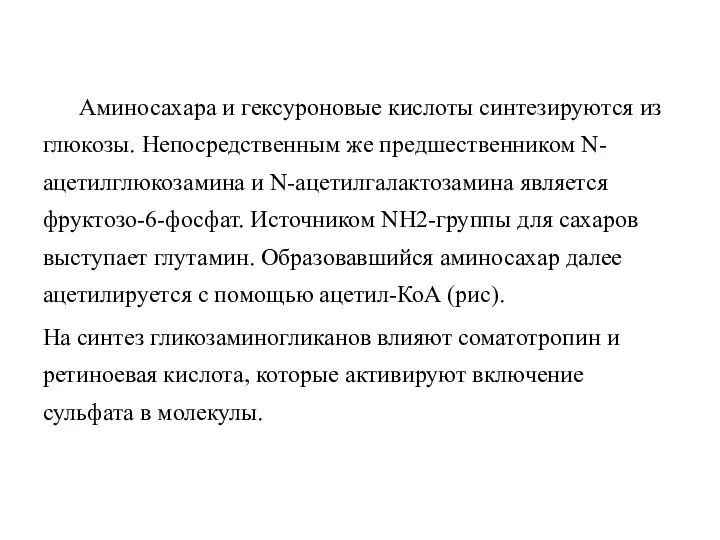 Аминосахара и гексуроновые кислоты синтезируются из глюкозы. Непосредственным же предшественником N-ацетилглюкозамина и