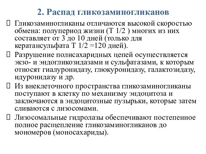 2. Распад гликозаминогликанов Гликозаминогликаны отличаются высокой скоростью обмена: полупериод жизни (Т 1/2