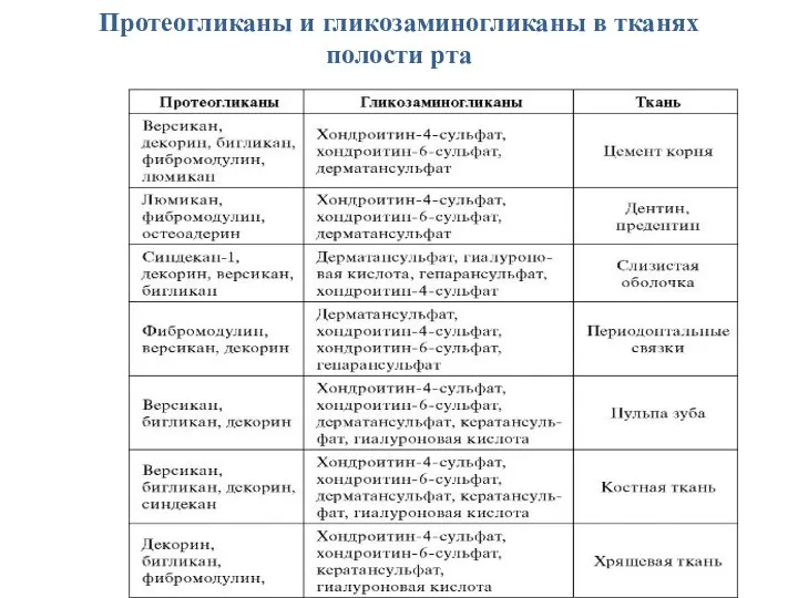 Протеогликаны и гликозаминогликаны в тканях полости рта