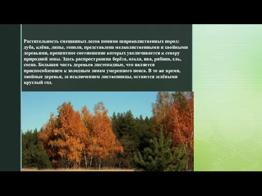 Растительность смешанных лесов помимо широколиственных пород: дуба, клёна, липы, тополя, представлена мелколиственными