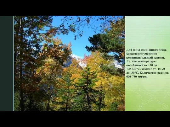 Для зоны смешанных лесов характерен умеренно континентальный климат. Летние температуры колеблются от