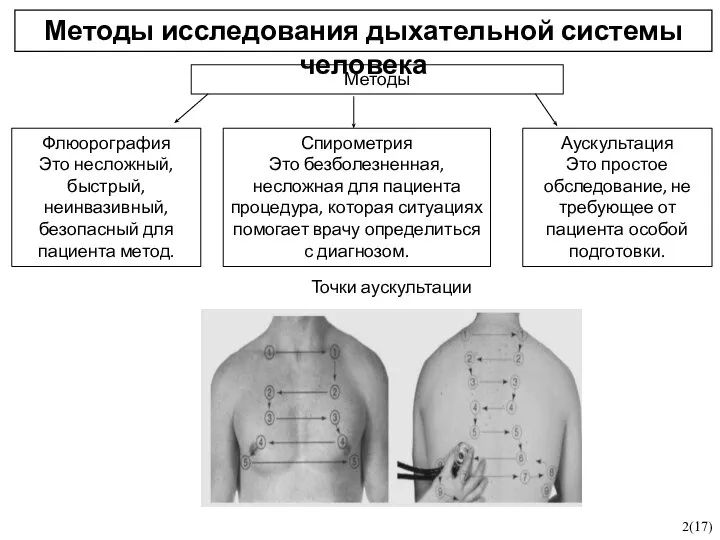 Методы исследования дыхательной системы человека 2(17) Методы Спирометрия Это безболезненная, несложная для