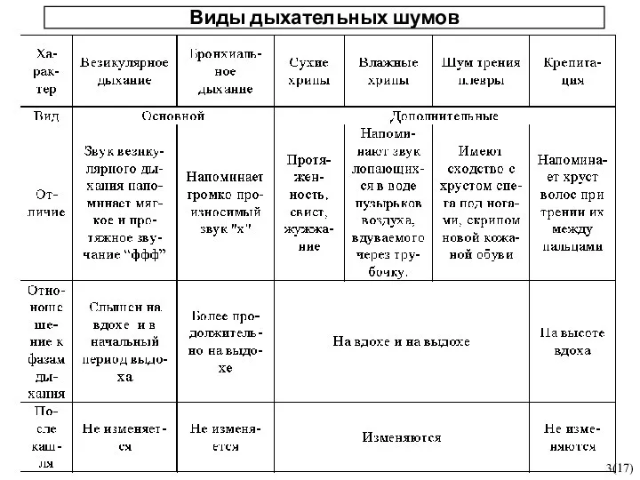 Виды дыхательных шумов 3(17)