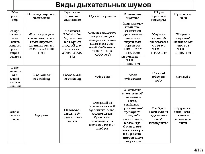 1 2 5 7 4(17) Виды дыхательных шумов