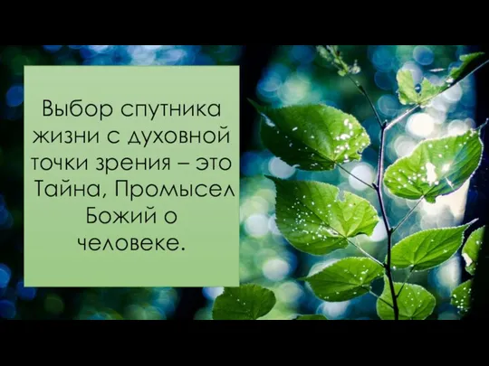 Выбор спутника жизни с духовной точки зрения – это Тайна, Промысел Божий о человеке.